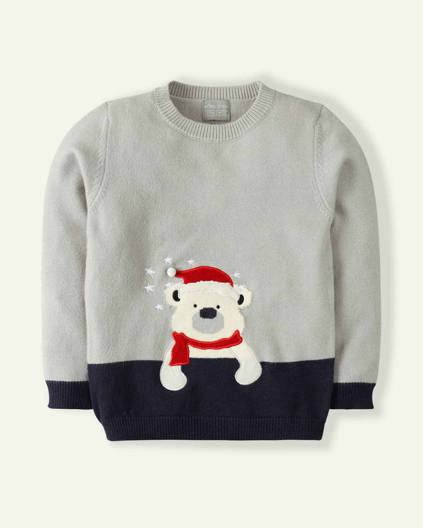 Cozy Bear Sweater